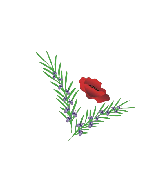 Taskforce Veteran white